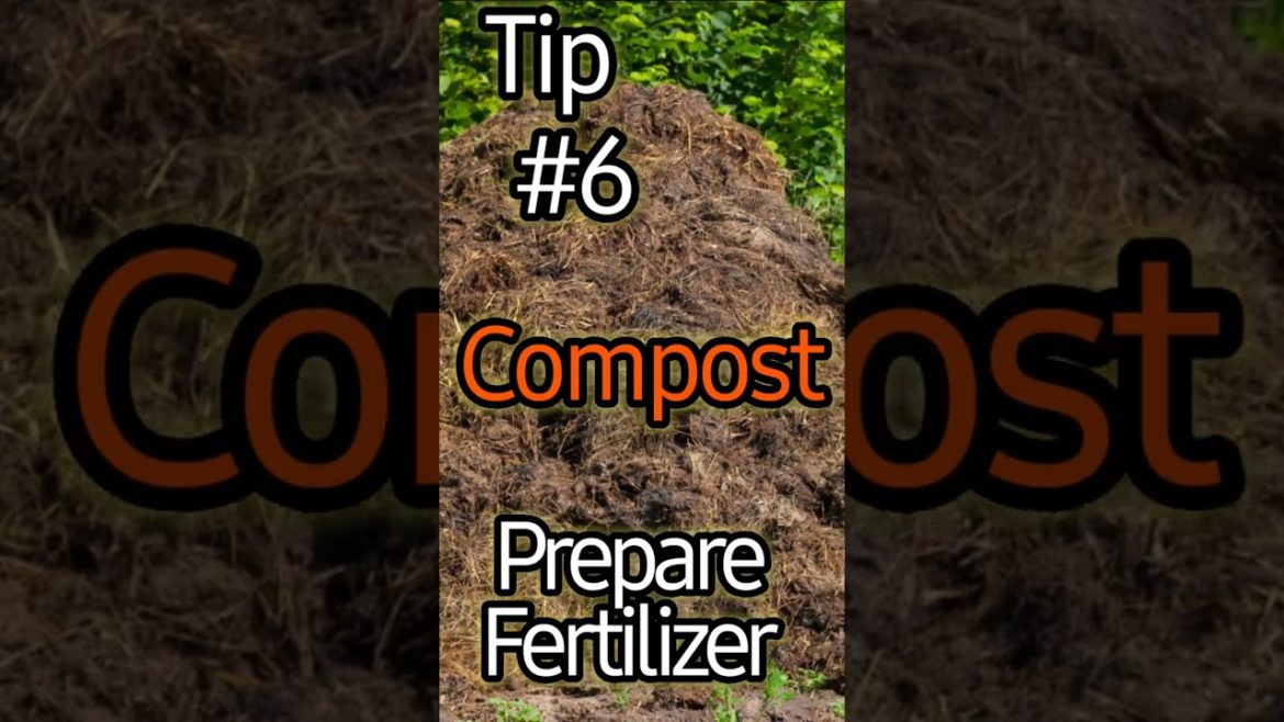 10 Simple Tips for Jumpstarting Your Garden Now!