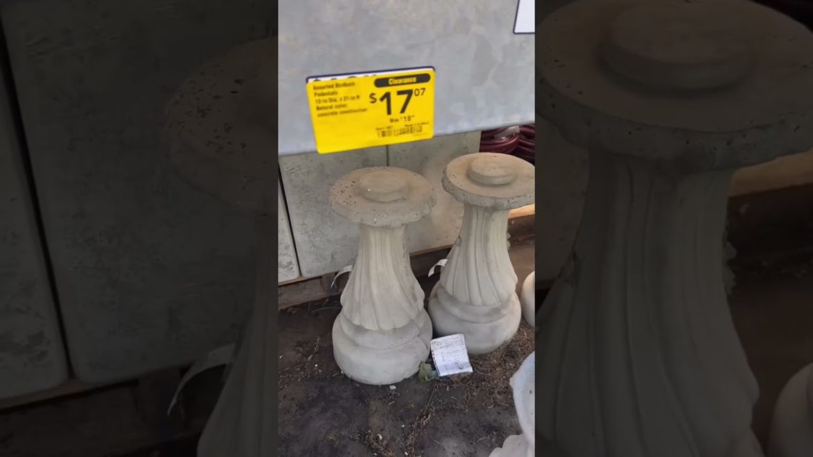 It’s a sign from the universe! Transforming my yard #diy #tips #BackyardOasis #shorts #Gardening