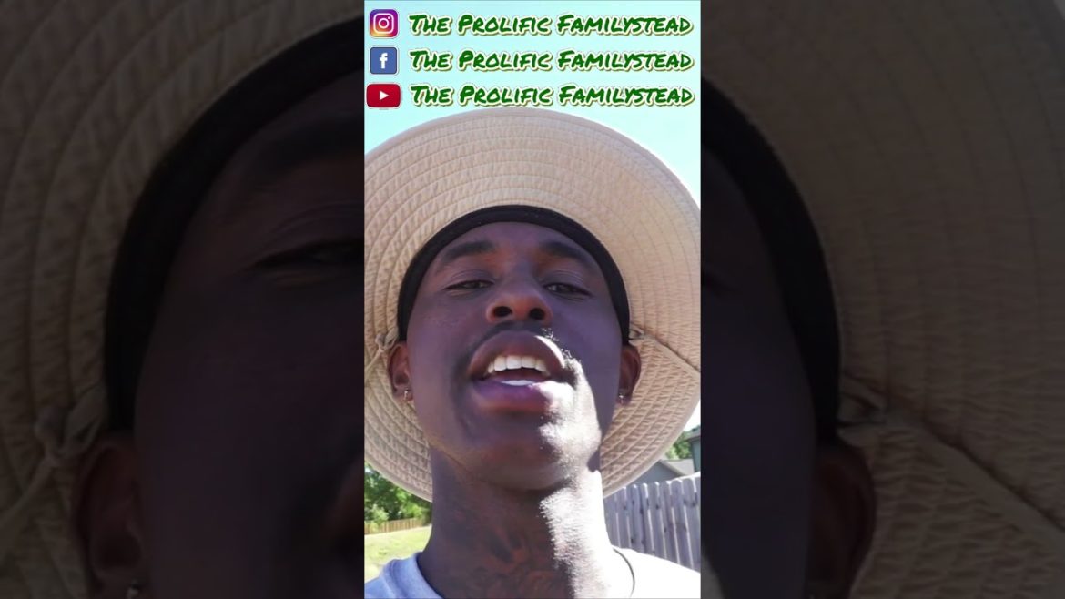 5 GARDENING TIPS #shorts