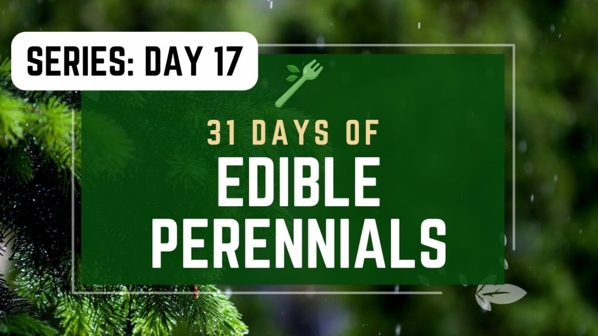 DAY 17 | 31 Edible Perennials |