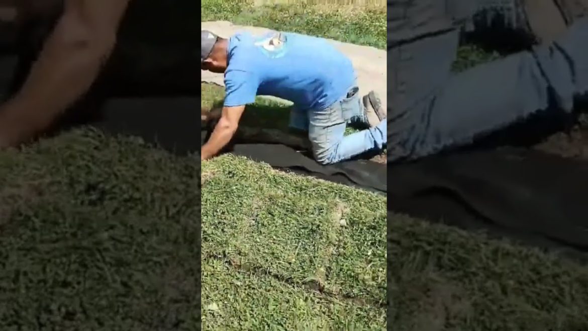 Why we use Drainage Fabric for our French Drains and how we install it so it flows more water Why we use Drainage Fabric for our French Drains and how we install it so it flows more water