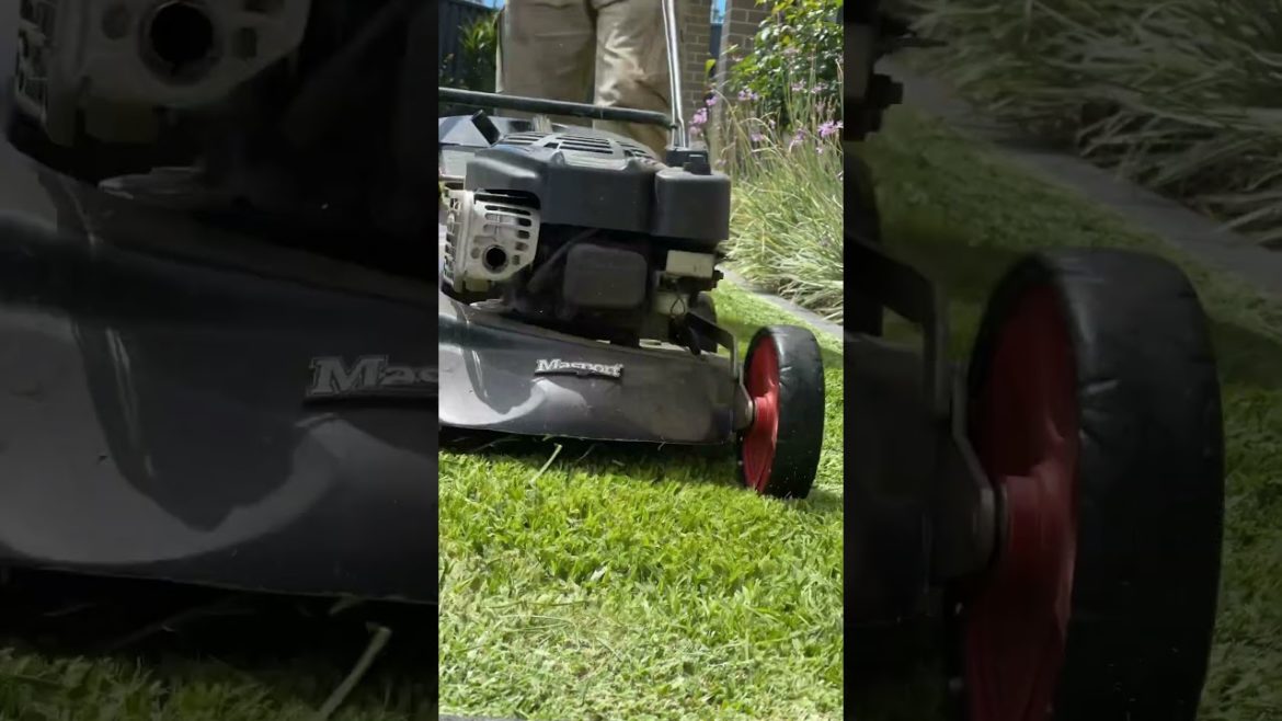 #lawn #service 👆 #gardening #frontgarden #backyard #frontyard #clean #edge #garden #cleaning #grass