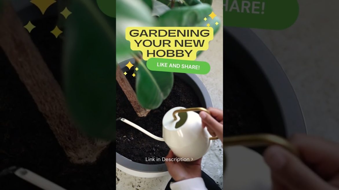 Planting the Seeds of a Beautiful Future: Guide to Gardening #shorts #gardening  #gardeningtips