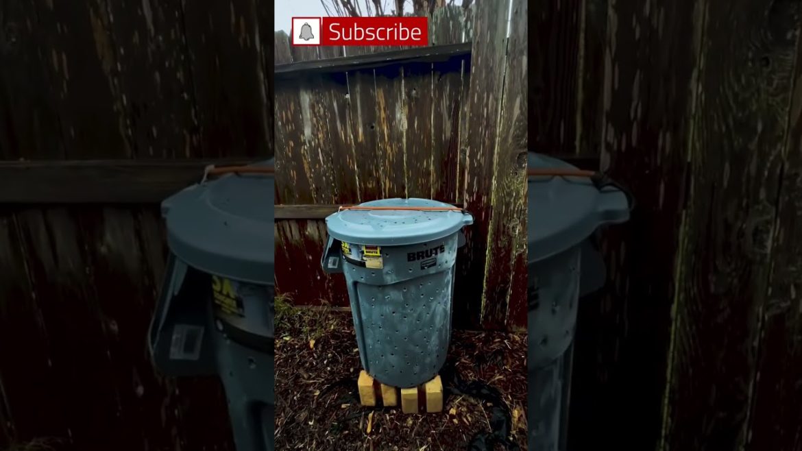 You Can Safely Compost Whole Foods Bags