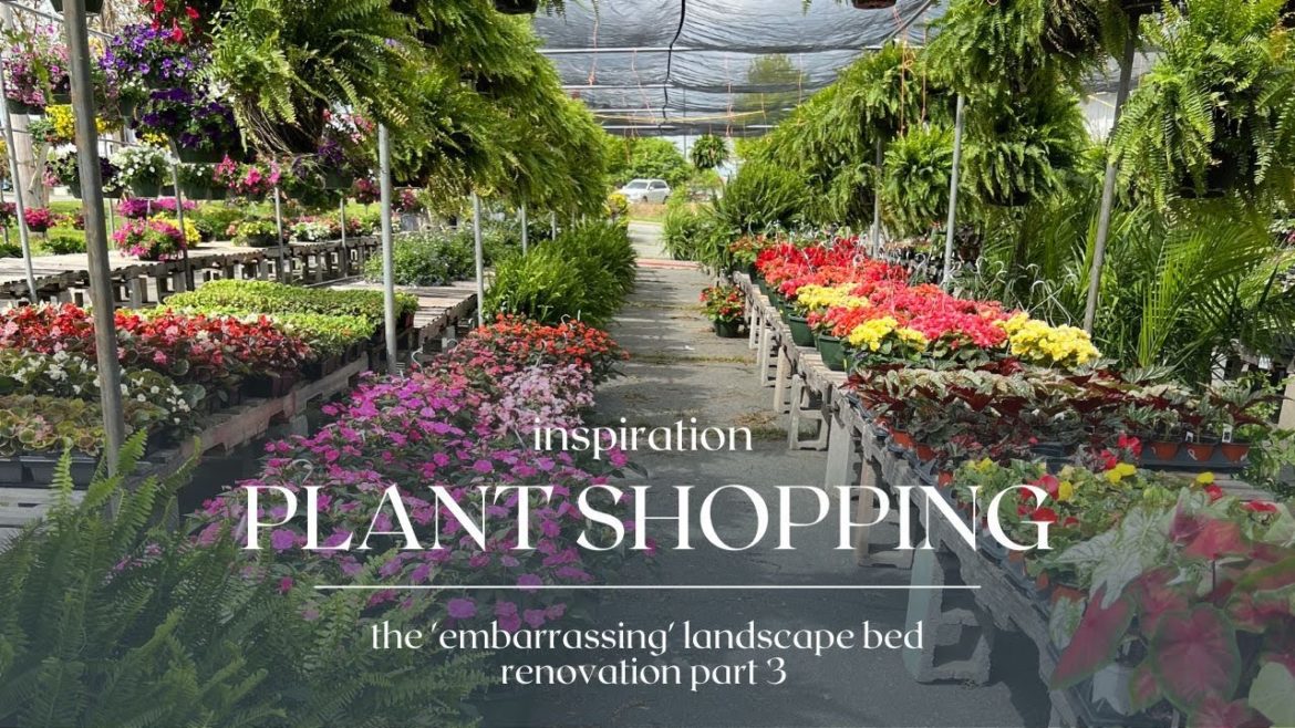 "Amazing" Plant Ideas 🌳🏡 : Let's Go Inspiration Shopping For My Embarrassing Bed Renovation Part 3
