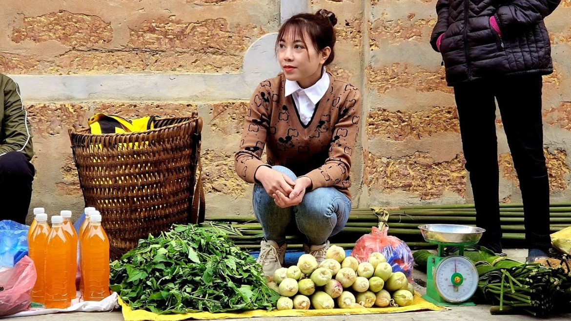 Harvest Agricultural Products ( Vegetables and Corn ) To Go To The Market To Sell | Lý Thị Ninh Harvest Agricultural Products ( Vegetables and Corn ) To Go To The Market To Sell | Lý Thị Ninh