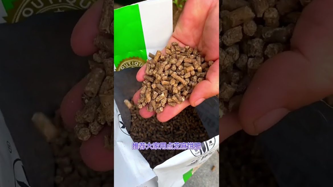 how to growing vegetable #natural #satisfying