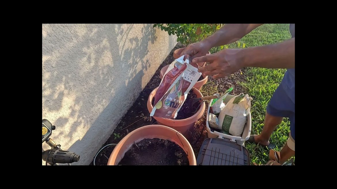Repurposing 50 Gallon Containers for Spring Planting