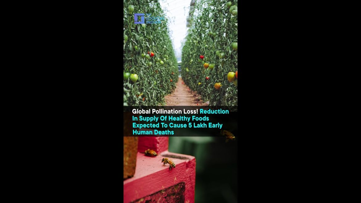 Reduction In Supply Of Healthy Foods Expected To Cause Early Human Deaths | The Logical Indian Reduction In Supply Of Healthy Foods Expected To Cause Early Human Deaths | The Logical Indian