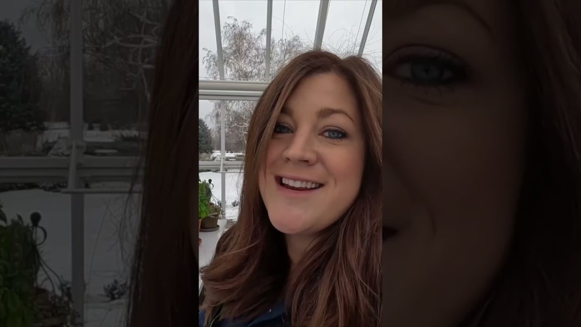 🌷🌿Feed Your Indoor Plants!🌿🌷 // Garden Answer