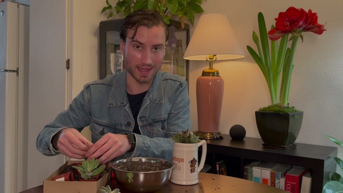 Planting Succulents in a Thrifted Container | Indoor Succulent Arrangement