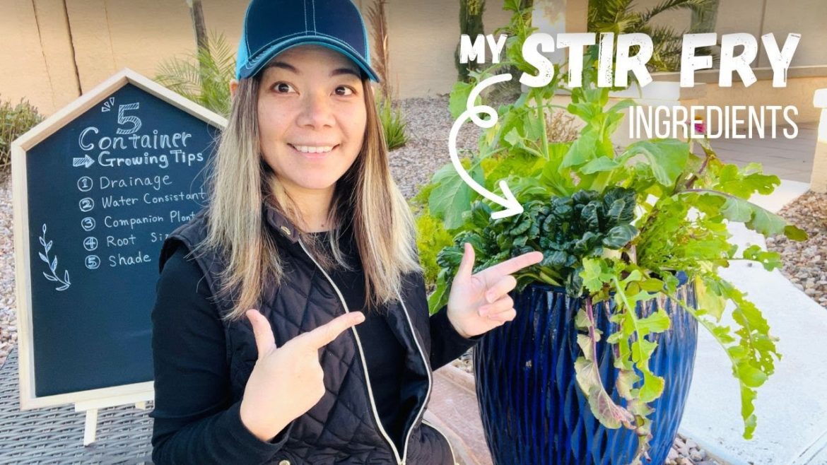 #005 I  5 TIPS for Container Gardening