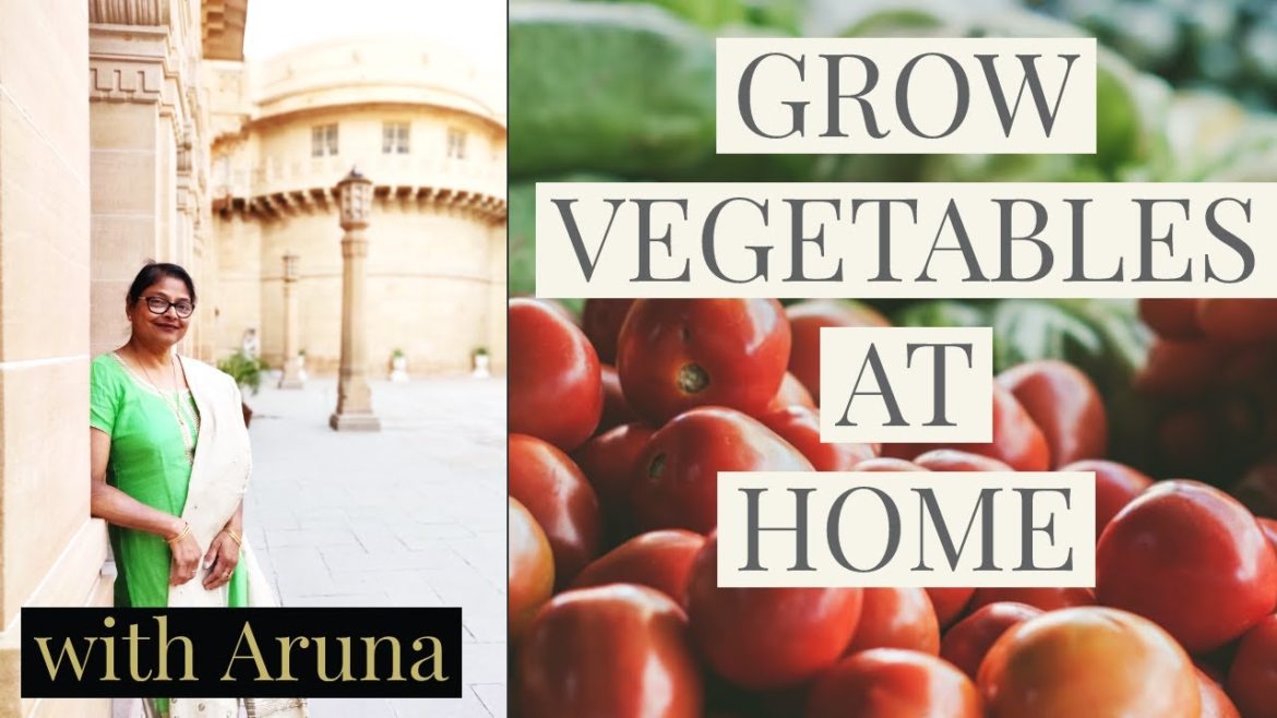 Kitchen Gardening at Zero Investment | Grow vegetables at home in 21 days Kitchen Gardening at Zero Investment | Grow vegetables at home in 21 days