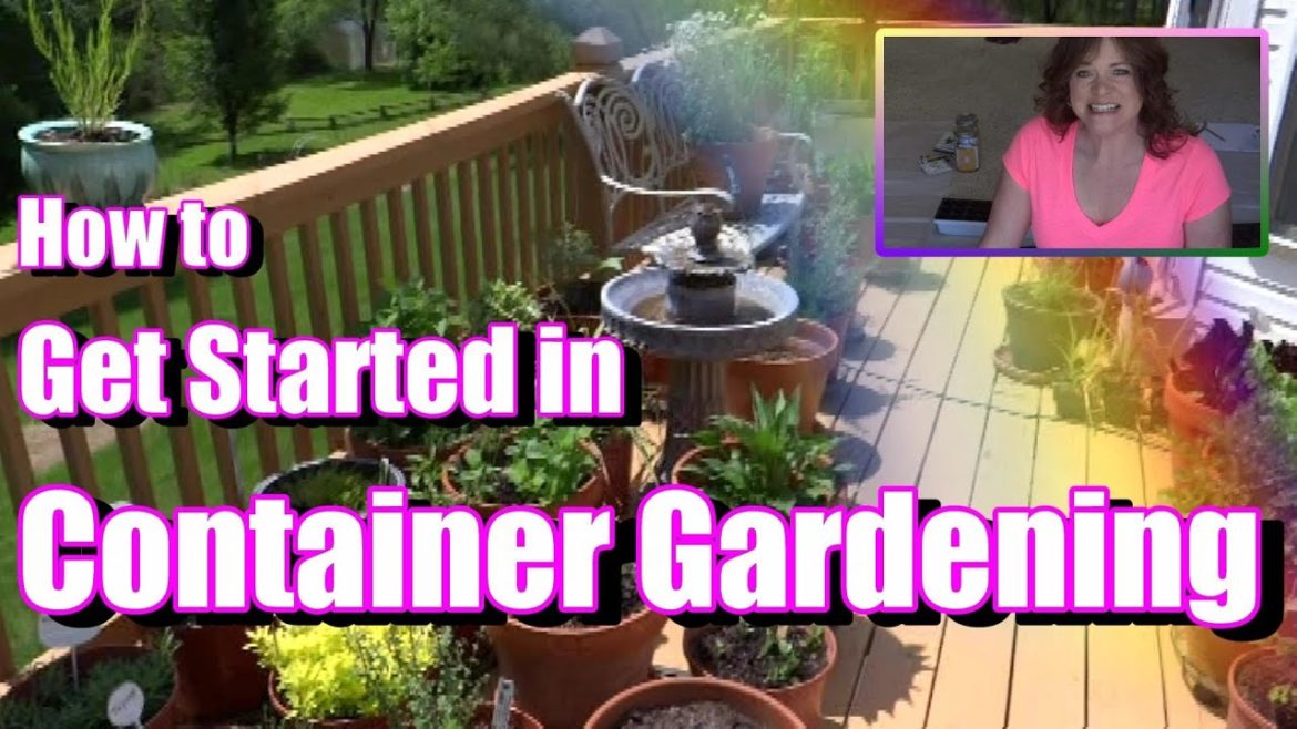 Container Gardening: How to Begin – Pot Selection, Plants, Sun Exposure and More Container Gardening: How to Begin - Pot Selection, Plants, Sun Exposure and More