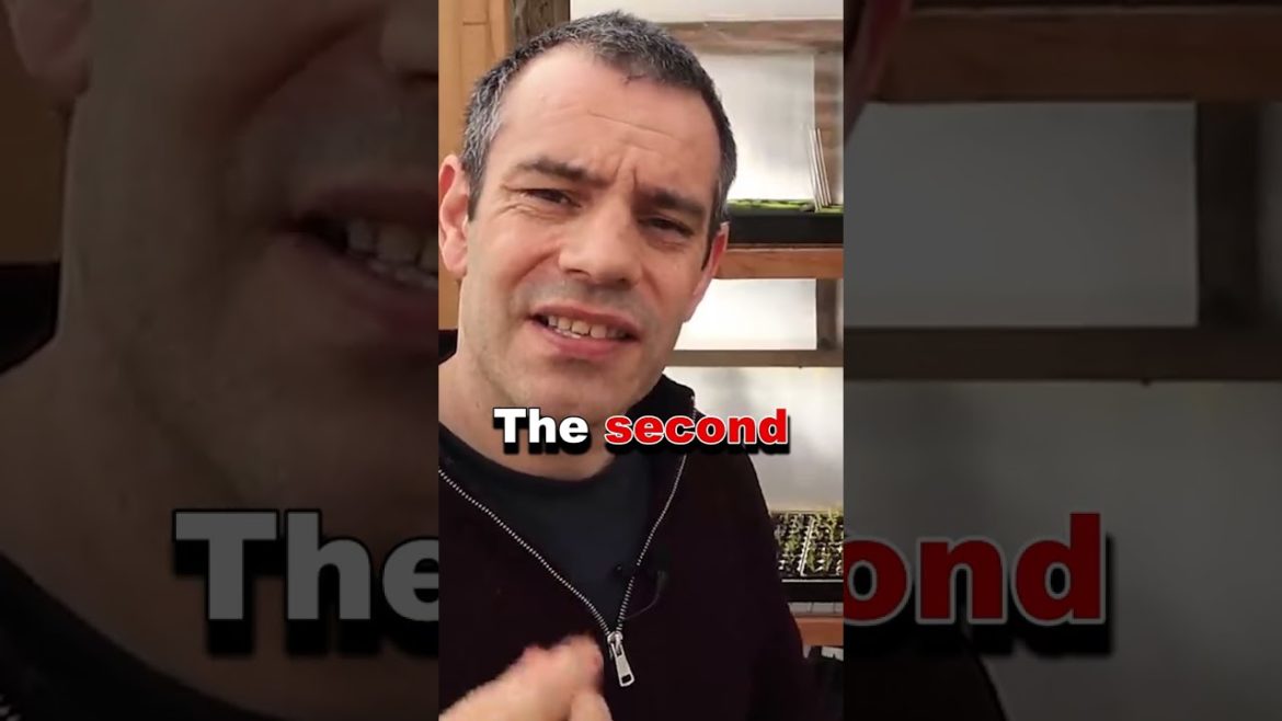 Container Potatoes The Mulch Advantage #shorts Container Potatoes The Mulch Advantage #shorts