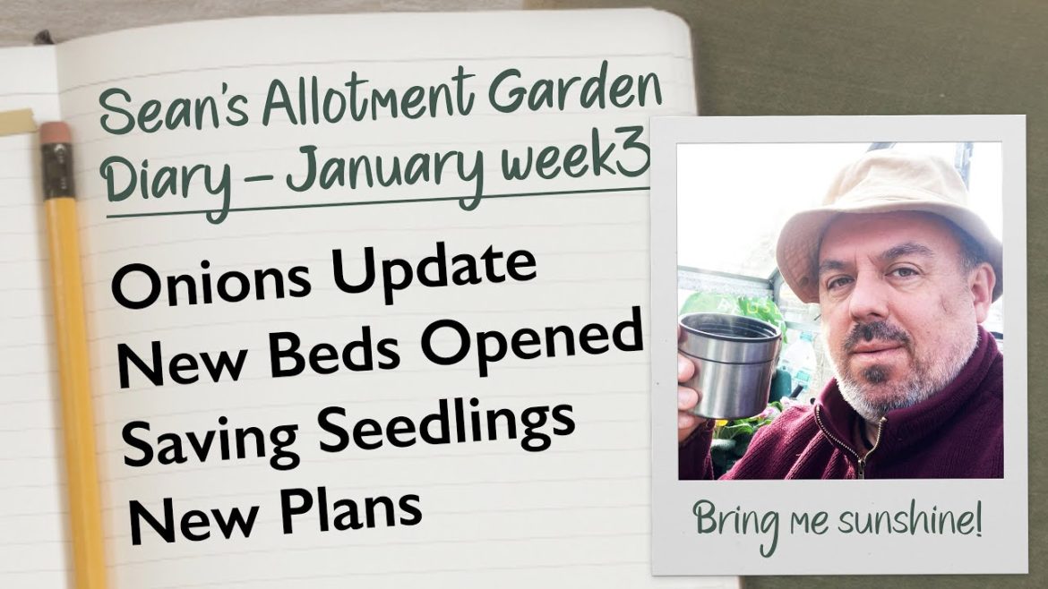 Gardening Diary: Onions Update, New Beds Opened, Saving Seedlings & New Plans | WEEKLY VLOG 2023/3