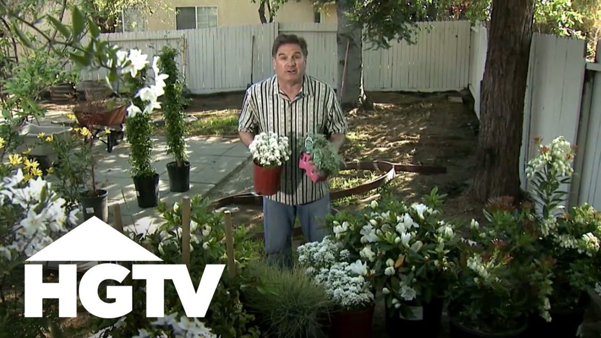 Monochromatic Garden Flowers | Gardening Tips | HGTV Monochromatic Garden Flowers | Gardening Tips | HGTV