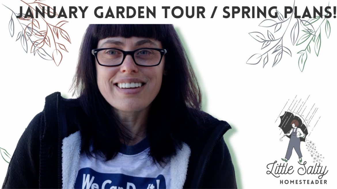 January 2023 Garden Tour / Spring Garden Plans