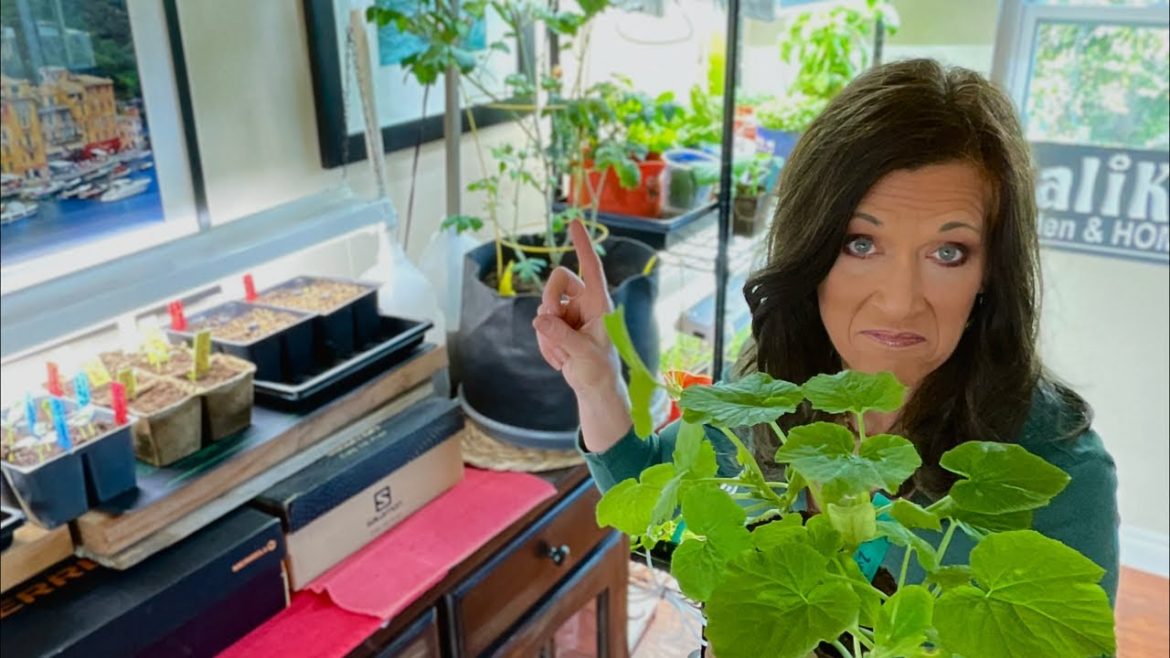 💡LIVE: The Worst Grow Light Mistakes You Could Make When Starting Vegetable Seeds Indoors