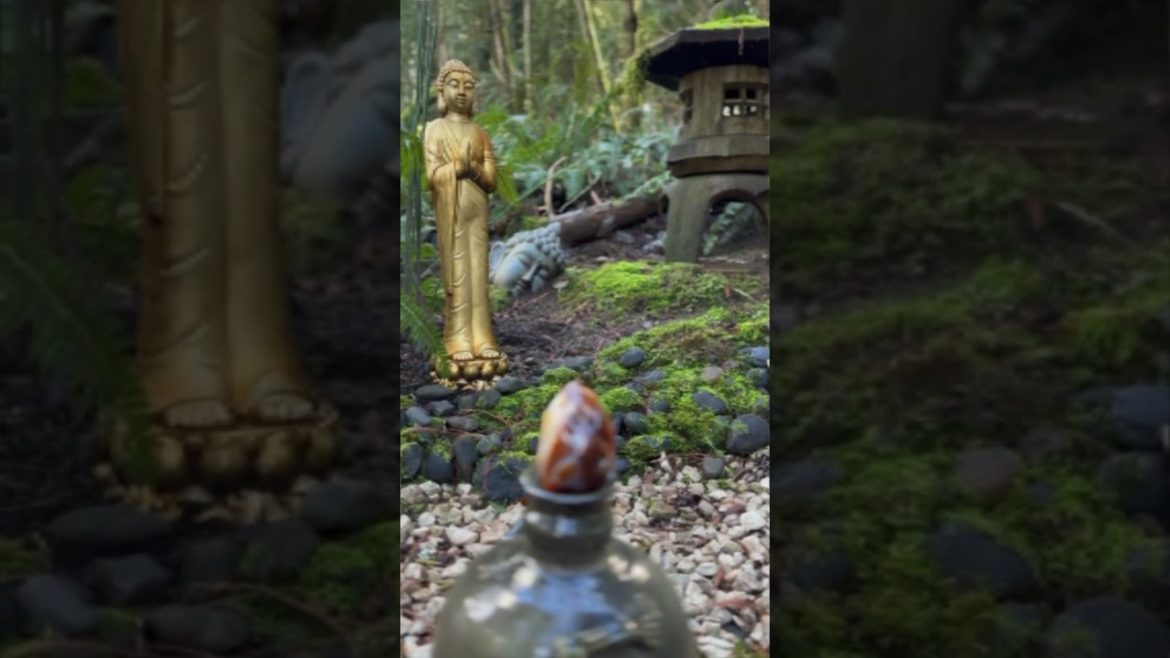 Manifest Health, Wealth, and Prosperity ✨ #shorts #thelawofattraction #manifestation