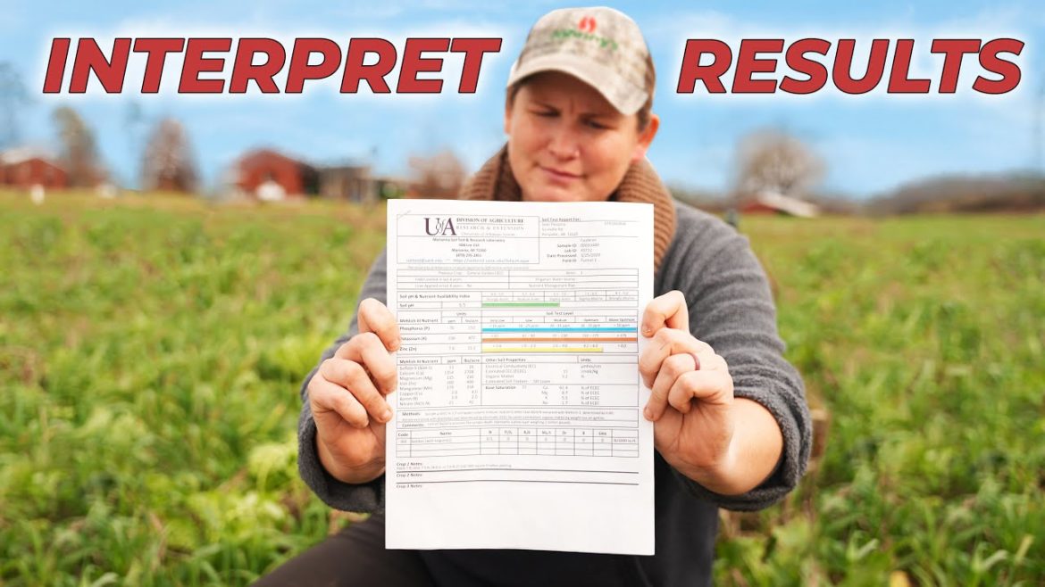 Soil Testing Made Easy: Report Explained