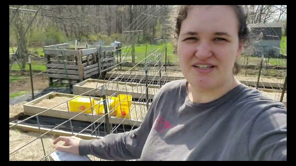 Never enough Garden Space!