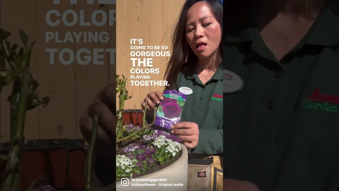 🌹 The Perfect Companion Plant for Roses - Great Gardening Tips