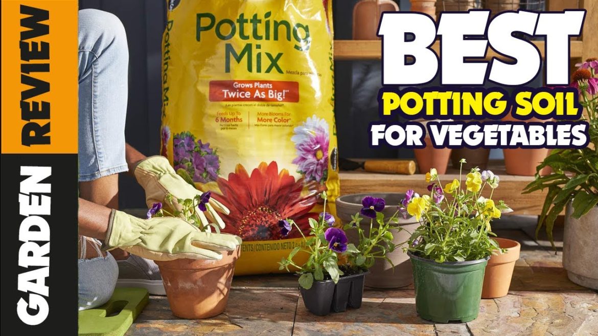 The Best Potting Soil for Vegetables: A Gardener's Guide