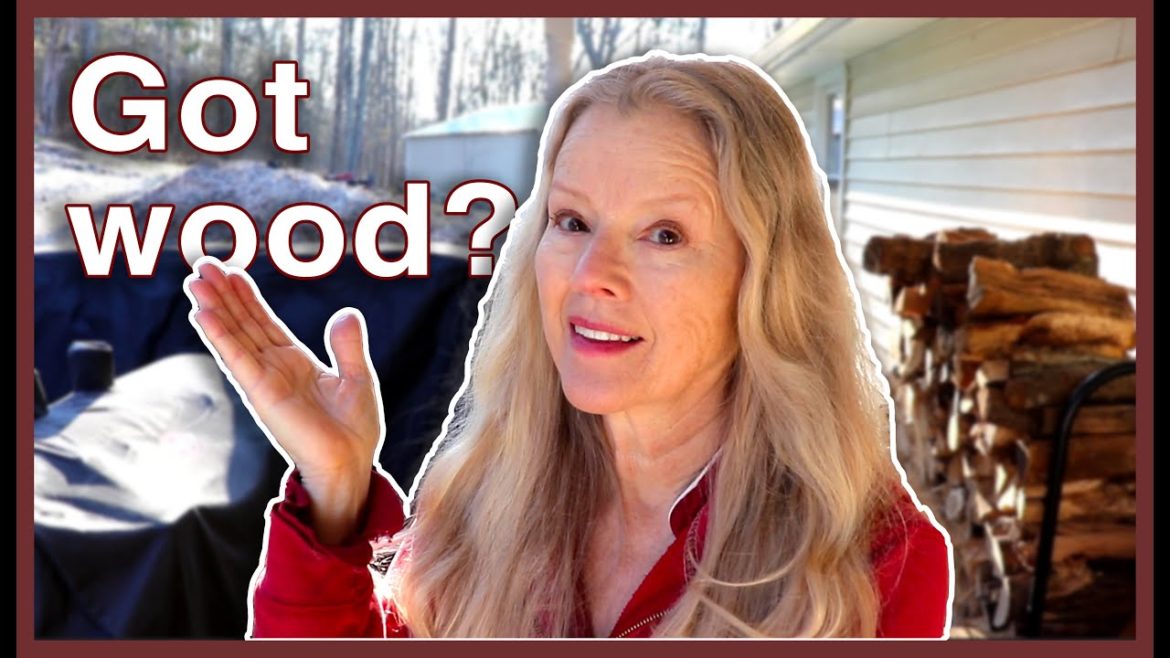 You can never have too much FIREWOOD! (plus homestead update and DETOX!)