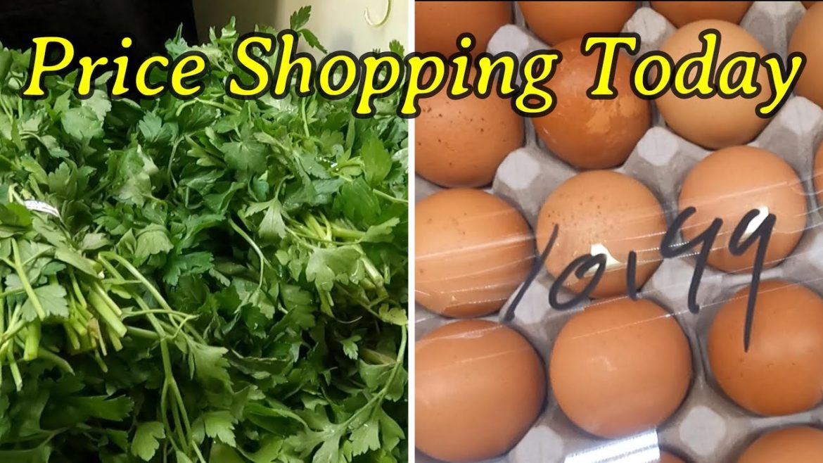 Price Shopping Today Price Shopping Today