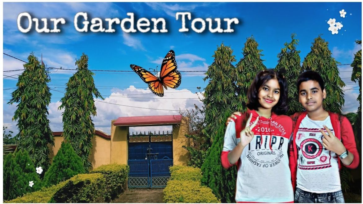 OUR HOME GARDEN TOUR // our houseplant collection // Rivan and Ishika world