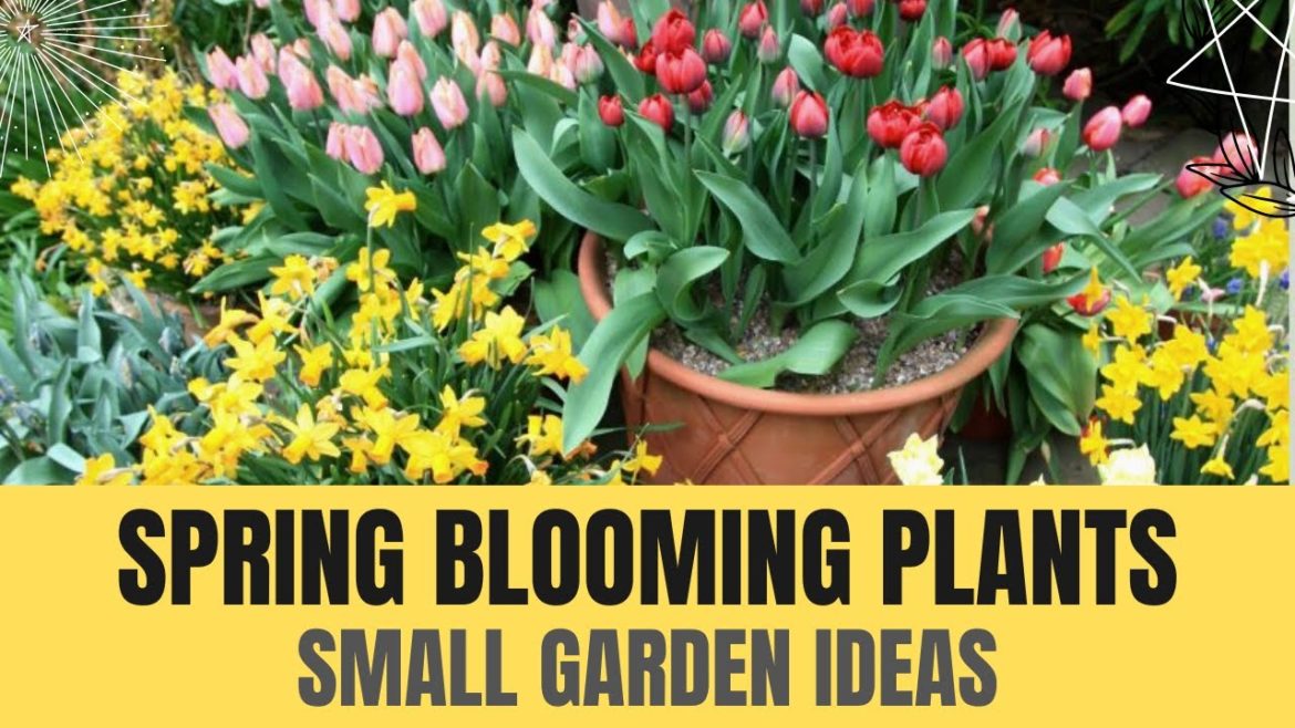 Spring blooming plants for Colorful Landscaping | Small Garden Ideas | Front Yard Makeover