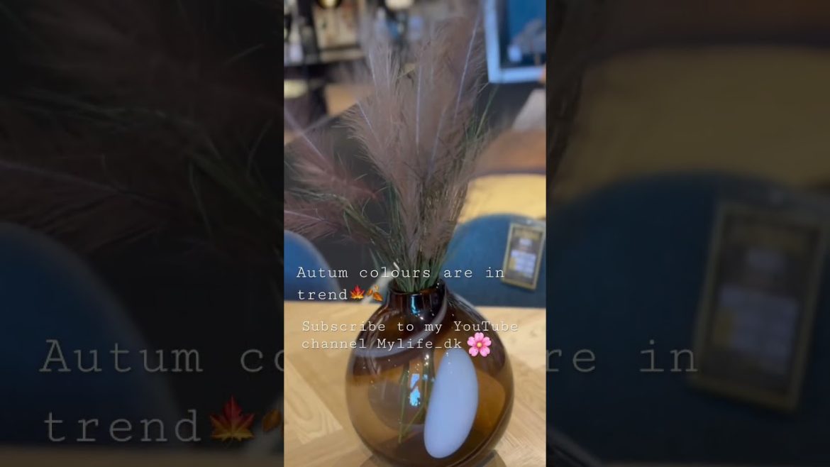 Trendy flower in pots#viralyoutubeshort #youtubeshorts