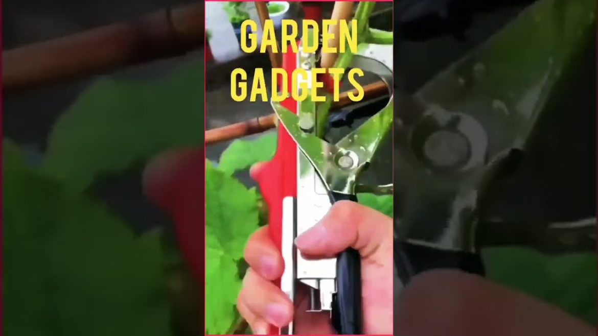 Garden 🏡 Smart Gadgets 😎 #shorts #gadgets #smartappliances