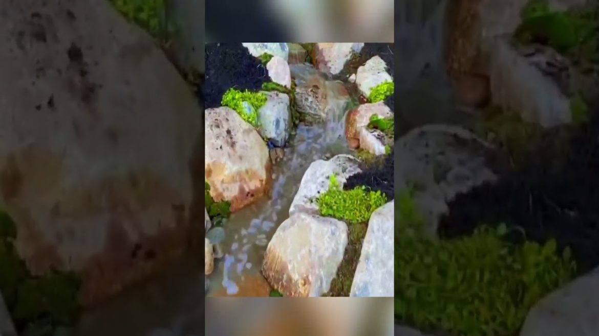Backyard Pondless Waterfalls - Two Amazing streams