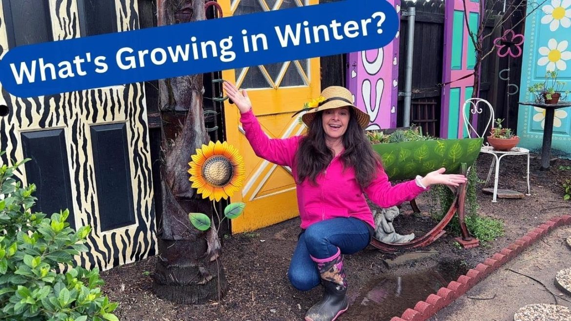 Winter Garden Mini Tour (Zone 9b)