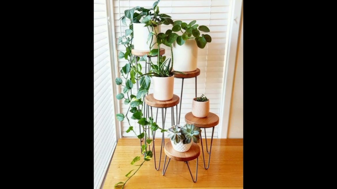 Indoor plants style ideas, best house plants style ideas#ideas #decor #design #gardening #home .