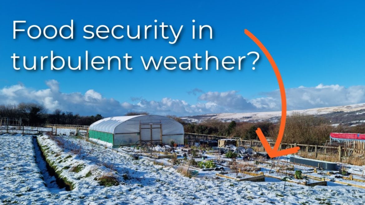 Have We Lost A Year Of Food | The impact of bad weather