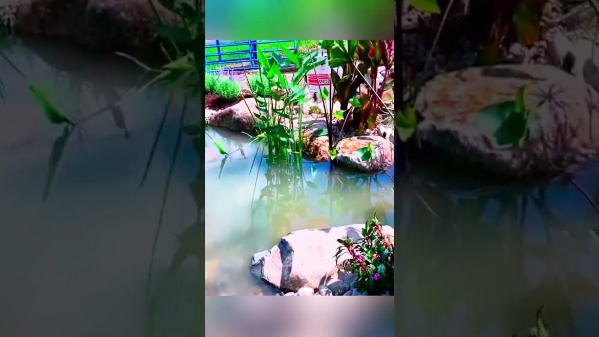 Get A Natural look Pond with Amazing waterfalls | landscaping Ideas Get A Natural look Pond with Amazing waterfalls | landscaping Ideas