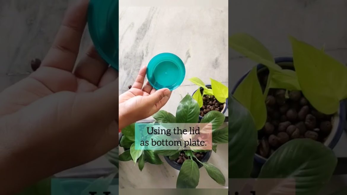 Recycle Plastic Container | DIY | Simple Garden Hacks