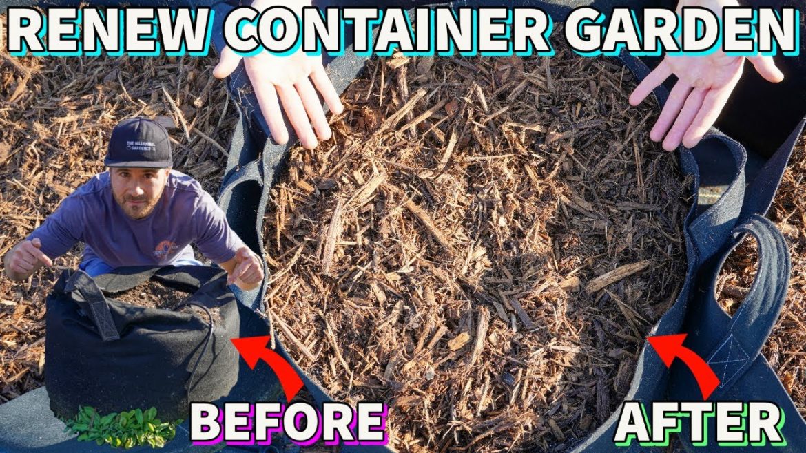 How To SUPERCHARGE A Container Garden FAST In 4 EASY Steps How To SUPERCHARGE A Container Garden FAST In 4 EASY Steps