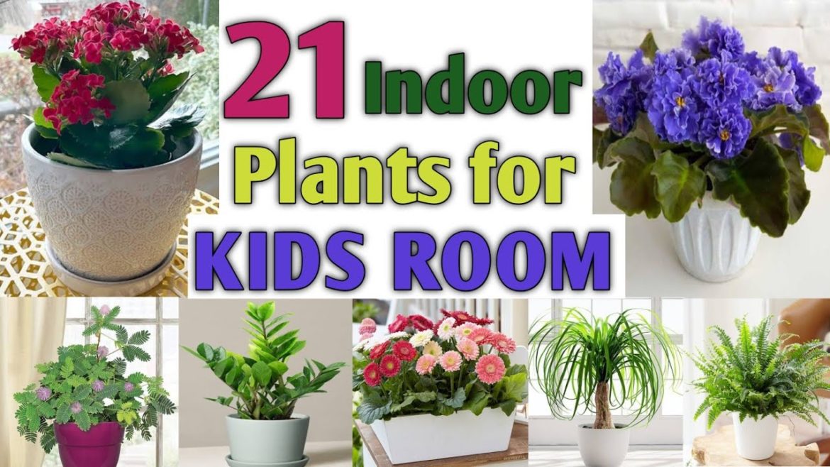 21 Indoor Plants for Kids Room | Low Light plants for kids, children | Plant and Planting