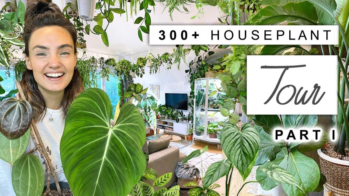 Houseplant Tour 2023 🌿 300+ Plant Collection Home Tour (Rare and Common) 🌱 PART 1