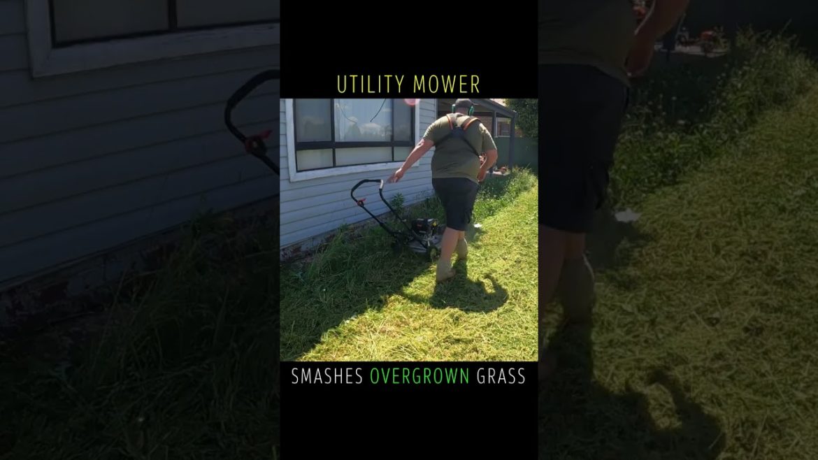 Utility Mower SMASHES Long OVERGROWN Grass With EASE