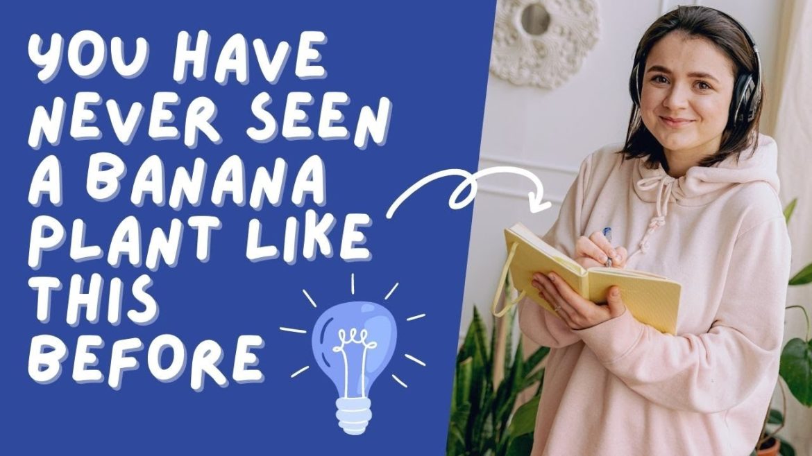 The Banana Variegated: A Rare and Exotic Tropical Plant for Your Garden