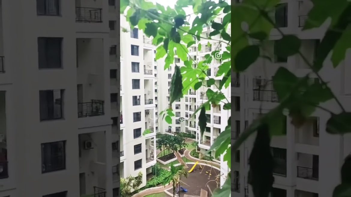 Bitter gourd/Karela growing at my balcony || Vegetable gardening #gardening #shorts #crazymaali