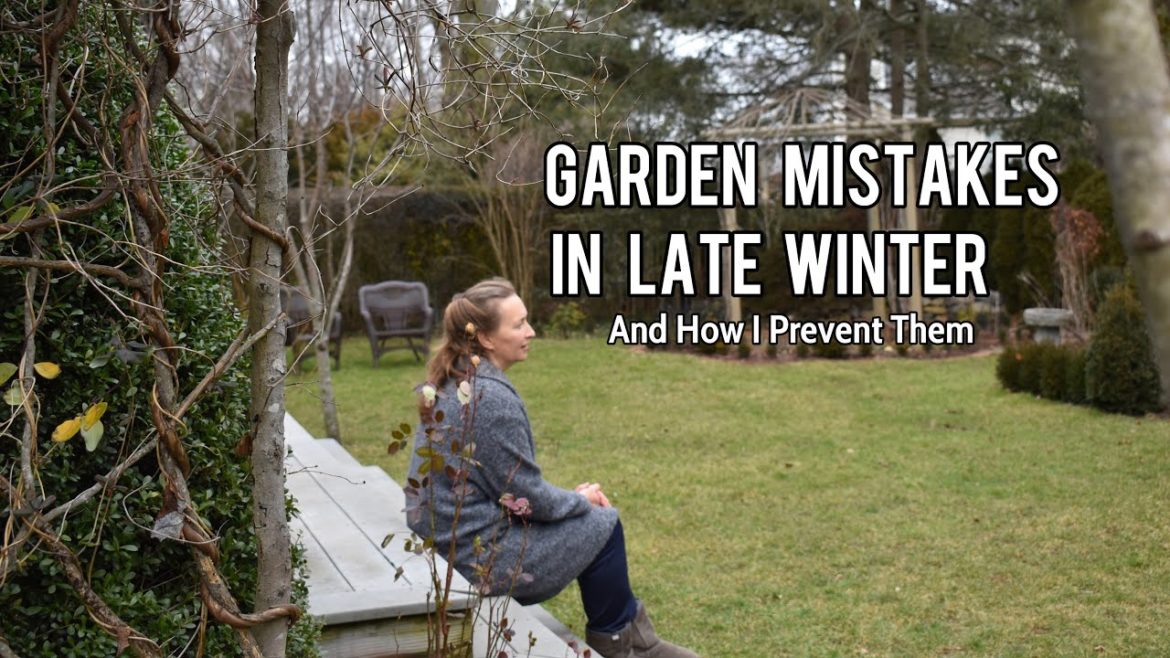 Garden Mistakes in Winter (how I fix them)
