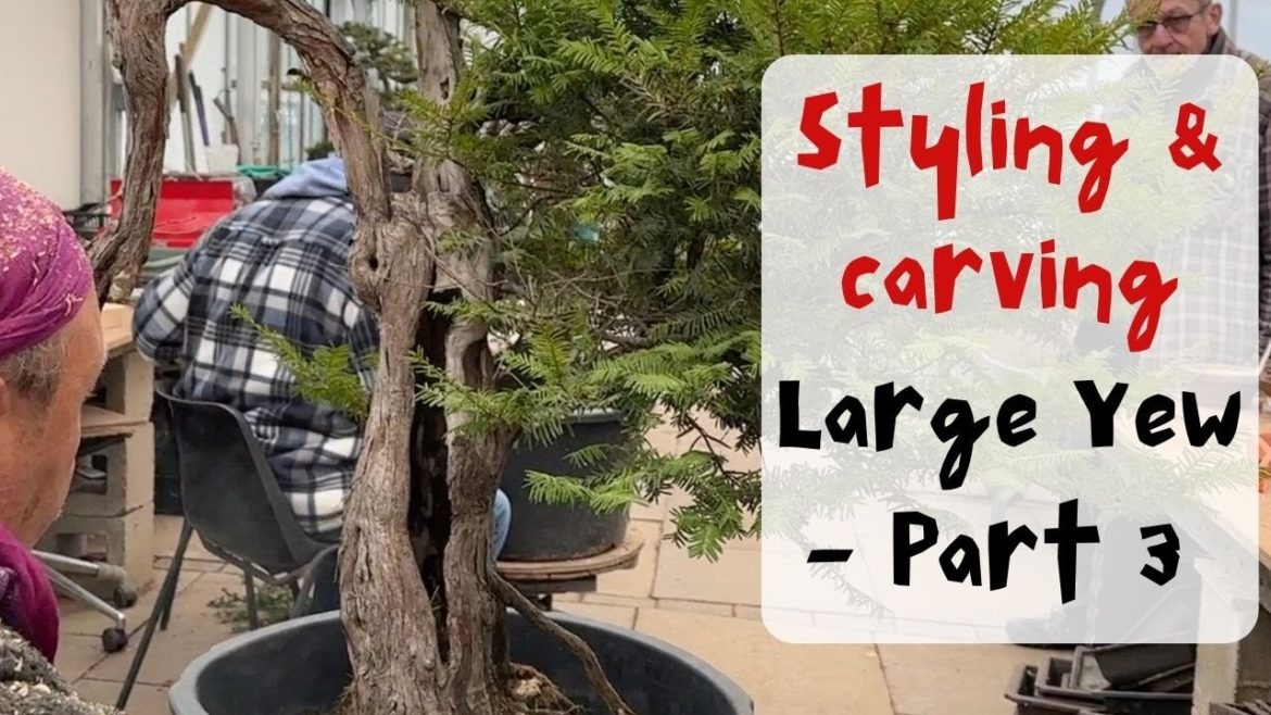 Styling & Carving Yew – Part 3 Styling & Carving Yew - Part 3