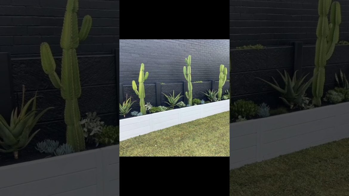 backyard landscaping ideas