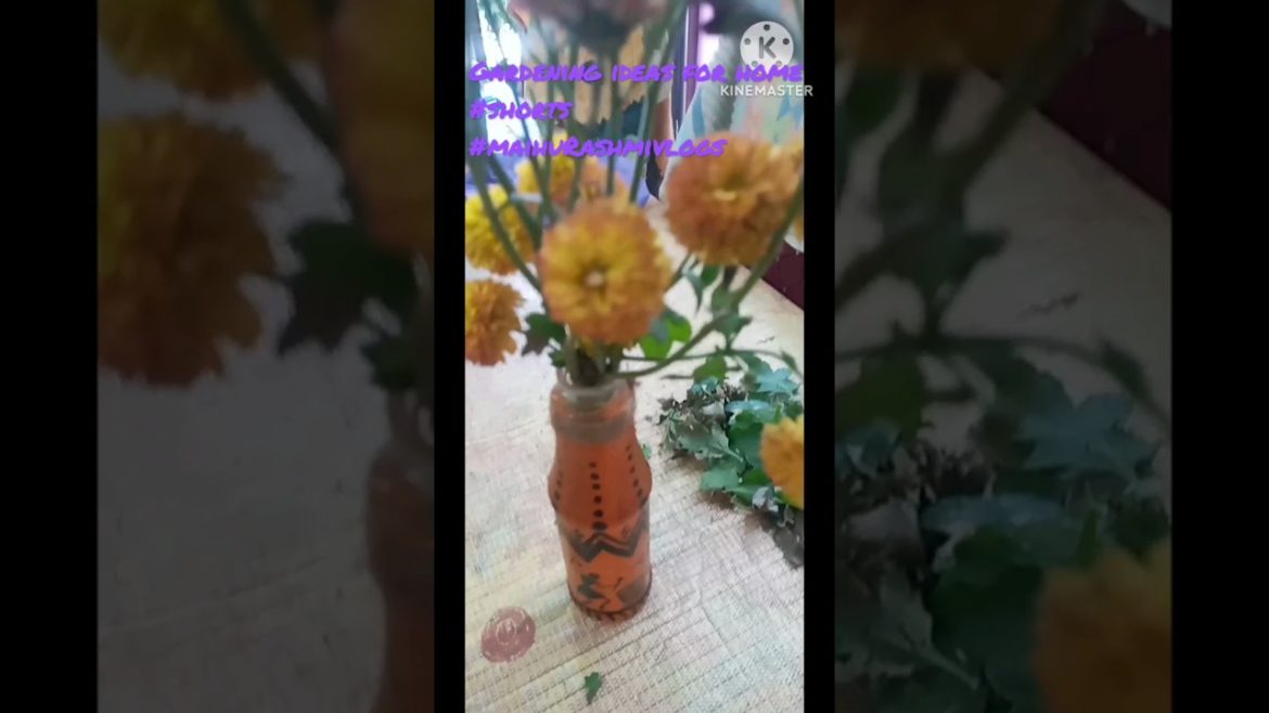 gardening ideas for home|asmr gardening|beginners gardening#shorts#youtubeshorts gardening ideas for home|asmr gardening|beginners gardening#shorts#youtubeshorts